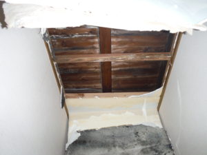 長野県下伊那郡根羽村 戸建住宅 内装工事【オンソー有限会社】