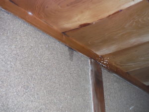 愛知県名古屋市の戸建住宅にて、天井改修工事【オンソー有限会社】