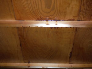 愛知県名古屋市の戸建住宅にて、天井改修工事【オンソー有限会社】